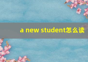 a new student怎么读